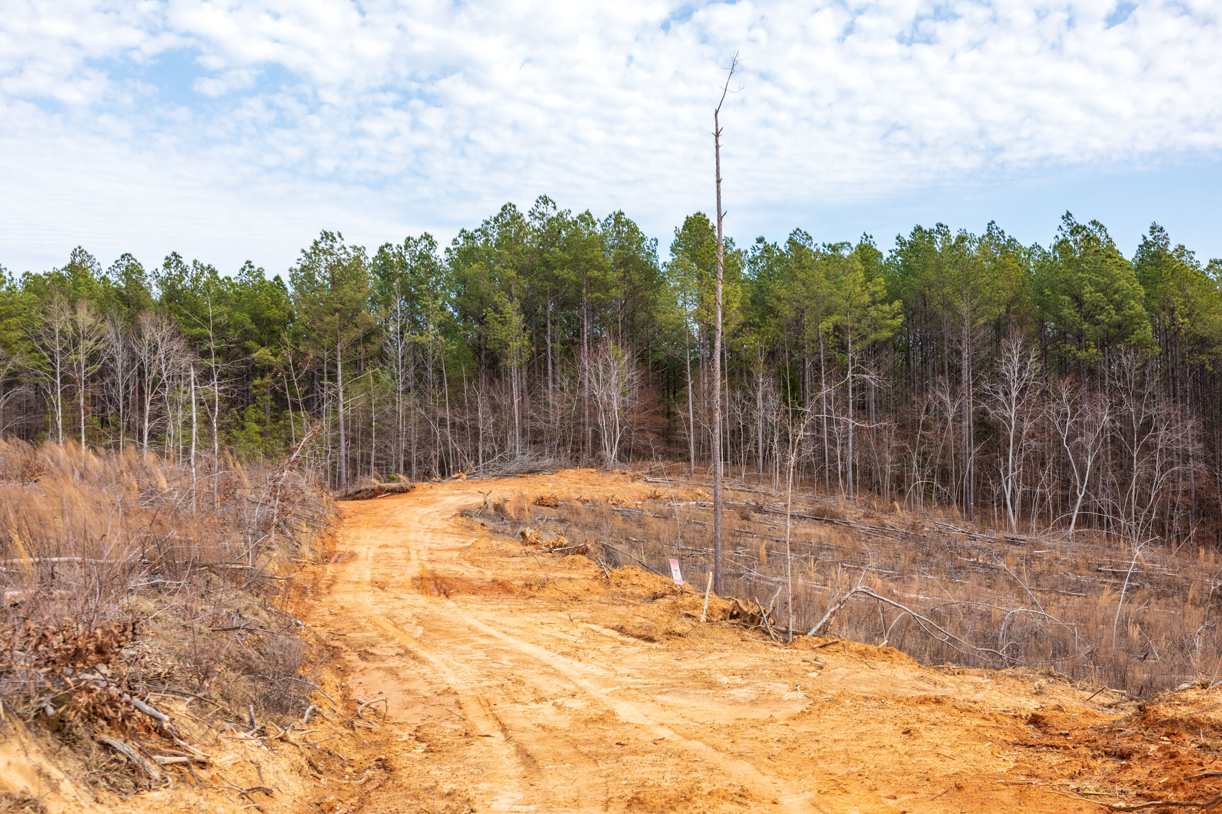 Tract 10 at Fairview Hills in Lamar County, Alabama