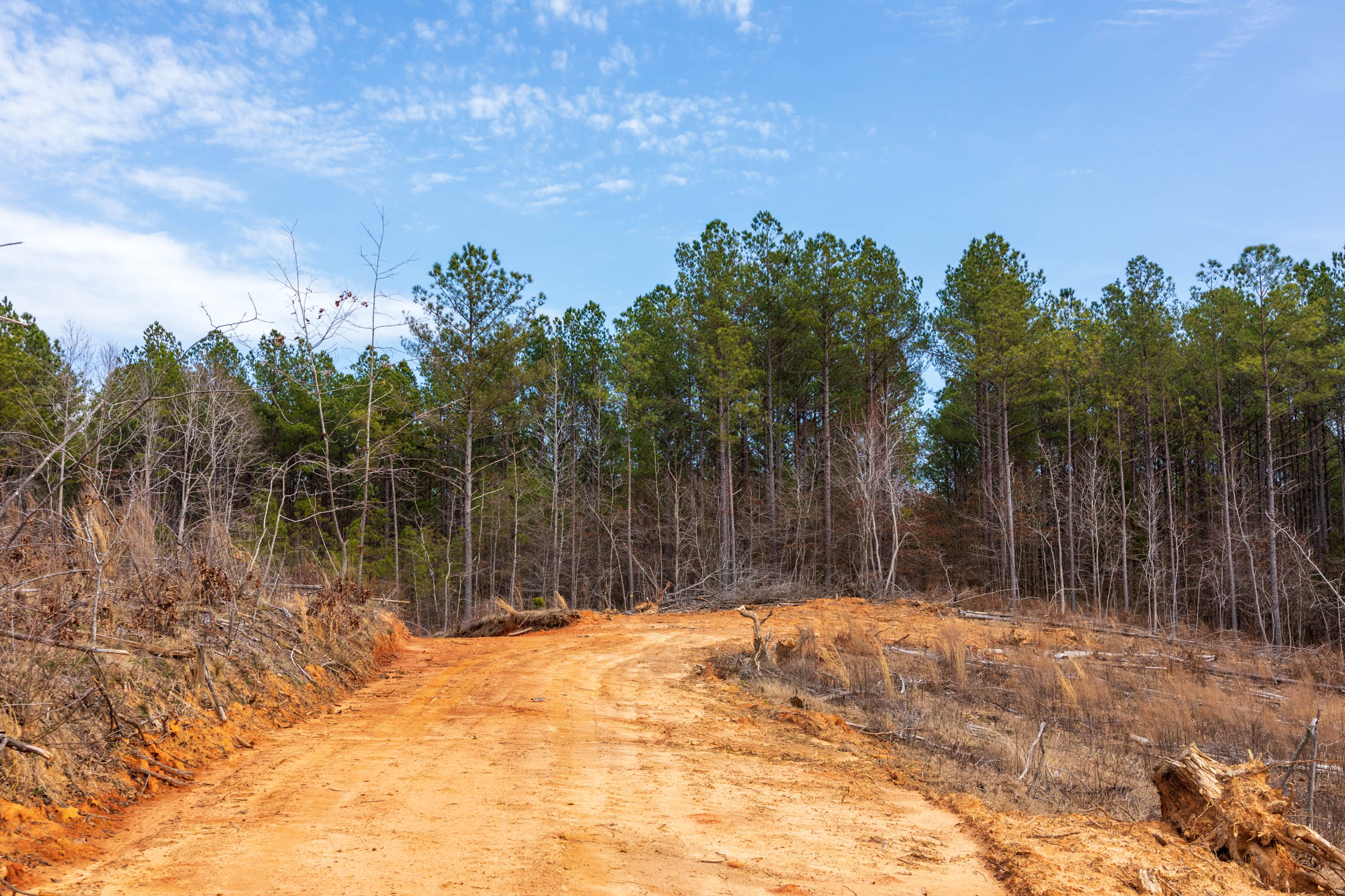 Tract 11 at Fairview Hills in Lamar County, Alabama