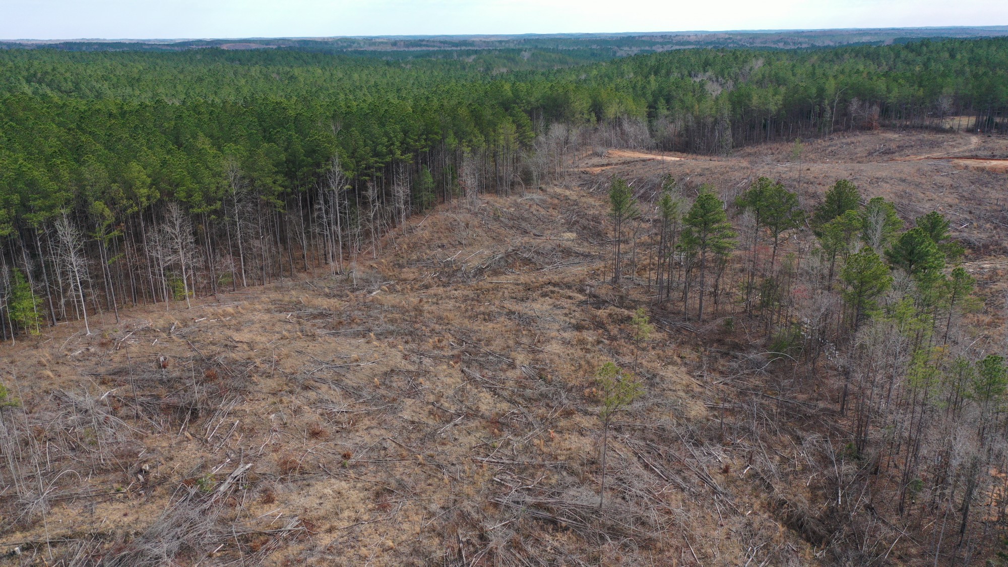 Tract 12 at Fairview Hills in Lamar County, Alabama