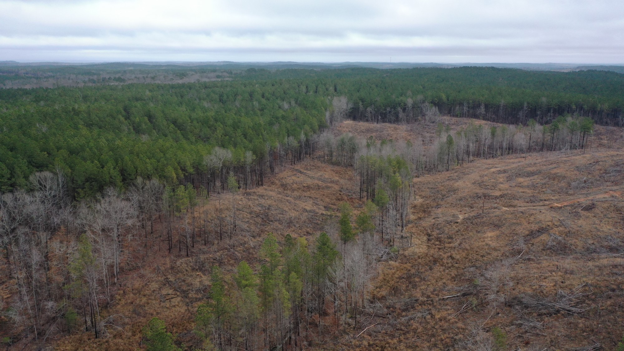 Tract 3 at Fairview Hills in Lamar County, Alabama