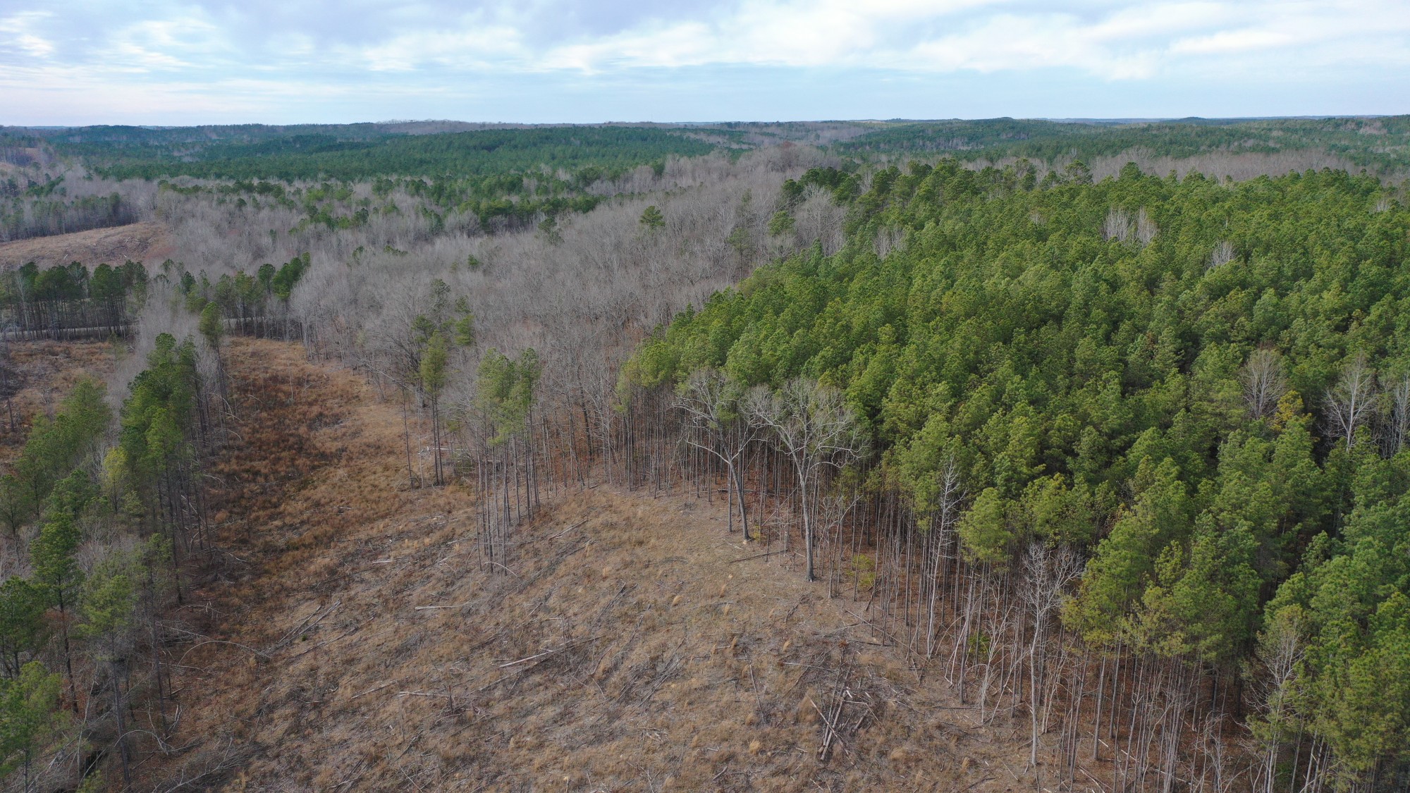 Tract 6 at Fairview Hills in Lamar County, Alabama