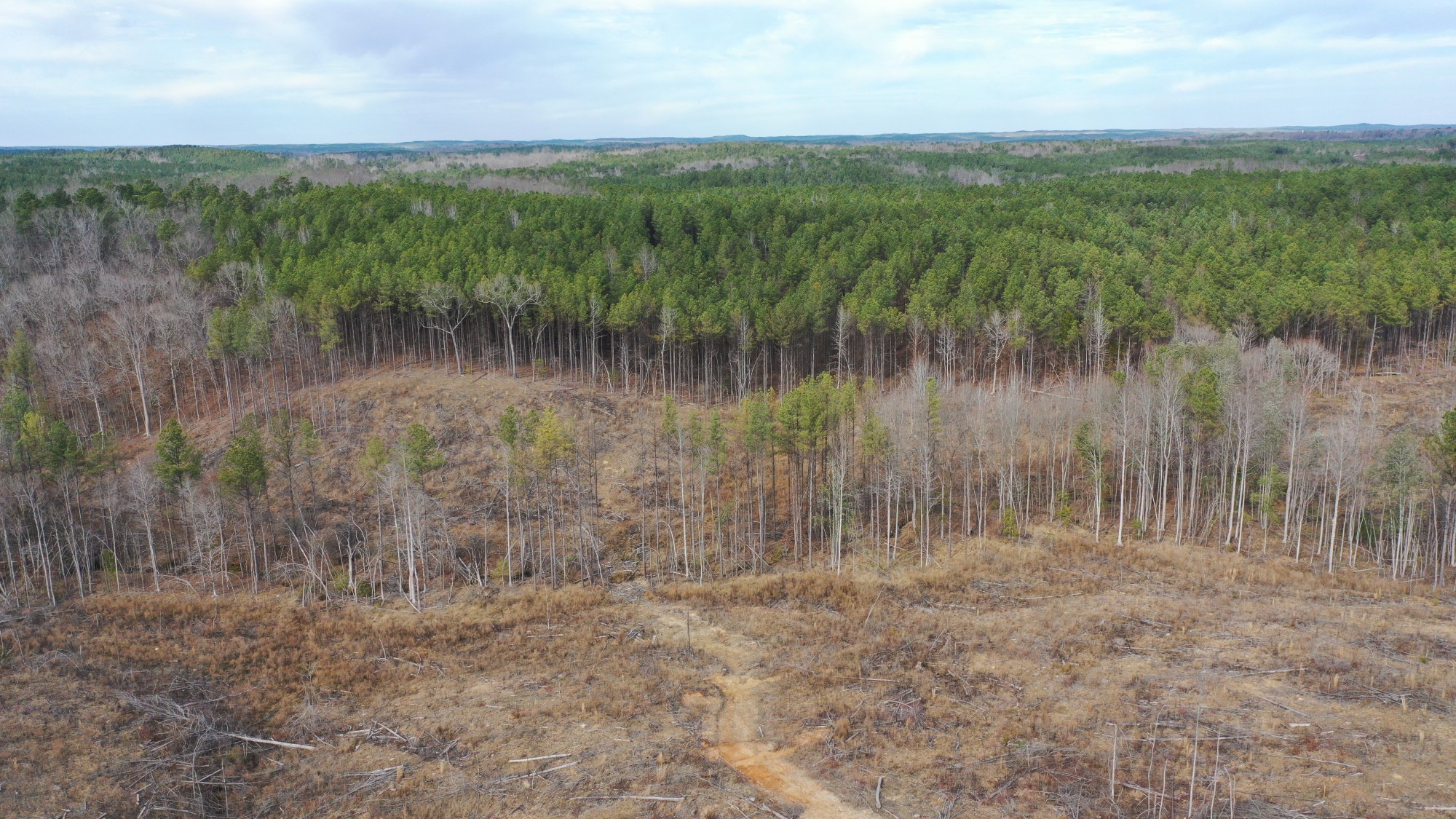 Tract 9 at Fairview Hills in Lamar County, Alabama