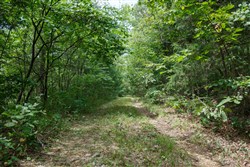 property photo for Springlake Plat 5 Tract 298, 0.19 acres for sale in Miller County, Missouri